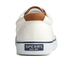 Striper II CVO Sneaker